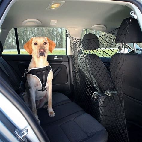 regole per trasporto cani in auto